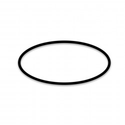 Guarnizione per caffettiera FROG coperchio didiesse 