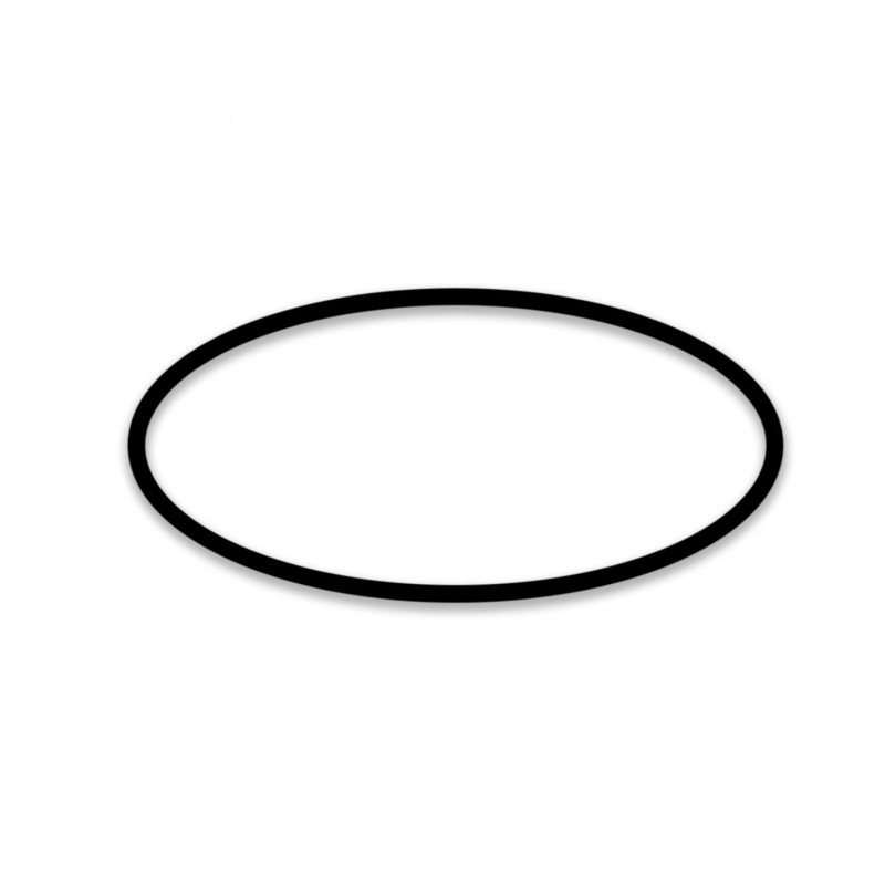 Guarnizione per caffettiera FROG coperchio didiesse 