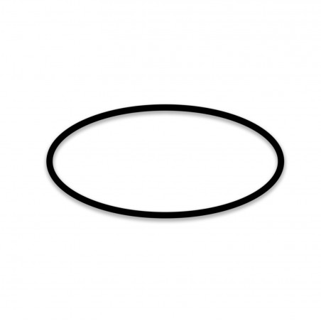 Guarnizione per caffettiera FROG coperchio didiesse 